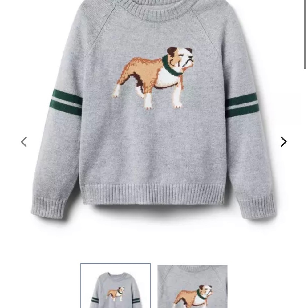 Janie and Jack Gray Sweater with Bulldog Design